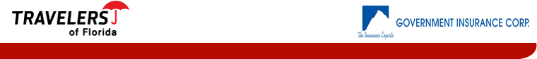 tofgovernmentins.gif
